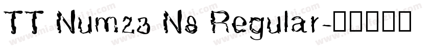 TT Num23 N8 Regular字体转换